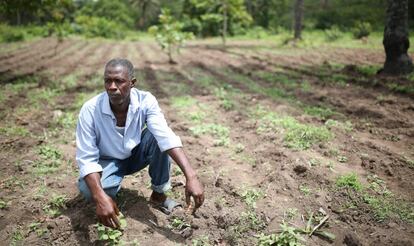 Salifou Sylla, agricultor de Guinea, en una foto tomada durante el brote de ébola en el país. Los trabajadores del campo fueron fuertemente afectados por la epidemia.