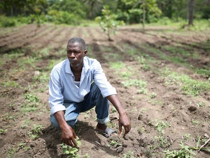 Salifou Sylla, agricultor de Guinea, en una foto tomada durante el brote de ébola en el país. Los trabajadores del campo fueron fuertemente afectados por la epidemia.