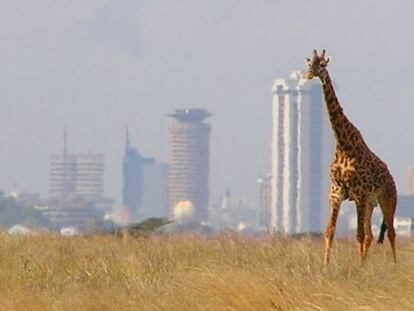 Una impactante imagen que no resulta tan extraña en esta ciudad africana.