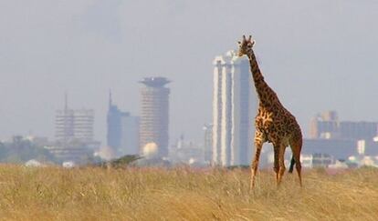 Una impactante imagen que no resulta tan extra?a en esta ciudad africana.