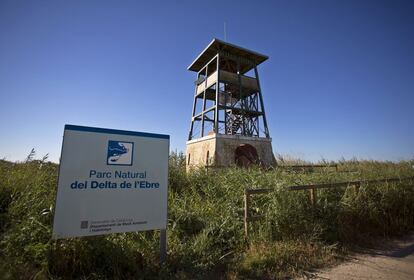 El Delta dispone de una amplia red de miradores que periten contemplar la incréble variedad de aves que habitan este territorio.