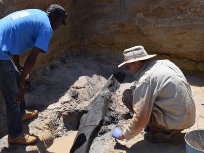 Un equipo de excavación descubrió en 2019 la estructura de madera en el yacimiento arqueológico de Kalambo (Zambia).