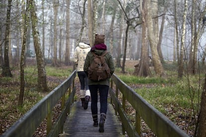 Vários estudos sugerem que caminhar durante pelo menos 30 minutos, mesmo sendo em ritmo moderado ou pausado, pode trazer benefícios para a mente e para o corpo. Em pessoas com depressão severa, esse exercício pode contribuir para uma redução clinicamente importante e estatisticamente significativa da mesma. ”É uma atividade que melhora o sistema cardiovascular, pode ajudar a fortalecer a parte inferior do corpo nas pessoas mais velhas e naquelas que têm pouca condição física”, afirma Ángel Merchán. “Diminui os níveis de colesterol, é essencial para diabéticos, reforça o sistema imunológico, melhora a circulação e oxigena o corpo”, diz a personal trainer Marta Rosado, para quem essa atividade não constitui, porém de um “treinamento”.