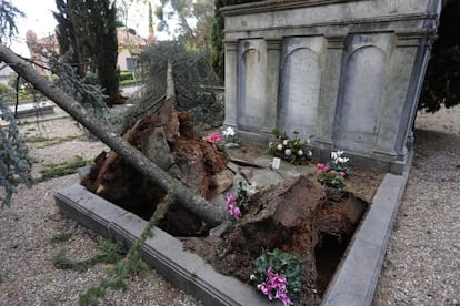 El cementiri de Terrassa ha quedat tancat per la ventada.