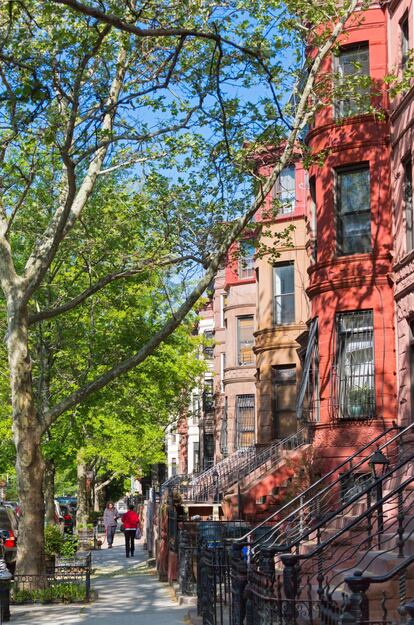 Barrio natal de personalidades como el actor Chris Rock o el mismísimo Michael Jordan, las residenciales calles de Bed-Stuy, de arboledas y fachadas de estilo victoriano, conforman, al sur de Williamsburg, uno de los grandes focos de la comunidad afroamericana en Nueva York junto a Harlem. Y proyectos solidarios como Bed-Stuy Strong, red de ayuda intravecinal para amortiguar los estragos de la covid entre los más necesitados, han vuelto a poner de manifiesto su histórico espíritu comunitario. Aunque cerrado temporalmente por la pandemia, en esta zona se encuentra el <a href="https://mocada.org/" rel="nofollow" target="_blank">MoCADA</a> (museo de las artes contemporáneas de la diáspora africana), así como el delicioso pollo frito de Peaches Hothouse (415 Tompkins Ave).