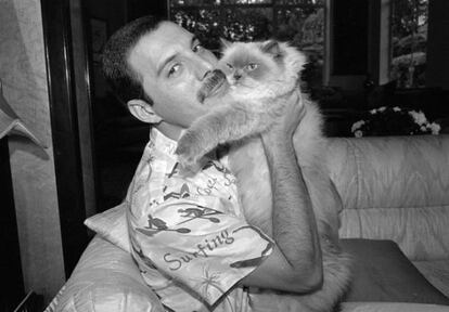 Freddie Mercury con su gata Tiffany, en su casa de Londres, en 1988.