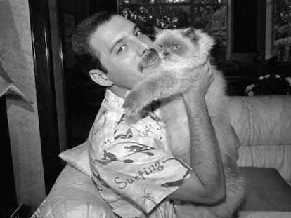 Freddie Mercury con su gata Tiffany, en su casa de Londres, en 1988.