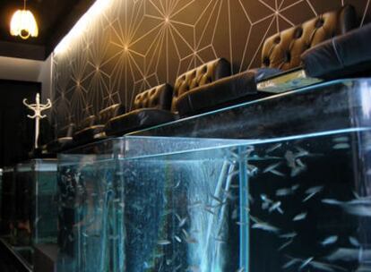 Interior de Aqua Sheko, el primer spa de Londres con pedicura a base de peces