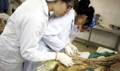 Estudiants de Medicina a la sala de dissecció.