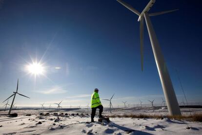 Parque eólico de Iberdrola en Escocia.