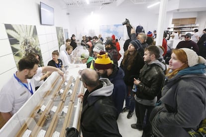 Varios clientes observan los distintos tipos de cannabis que se ofertan en una tienda de Winnipeg (Canadá).