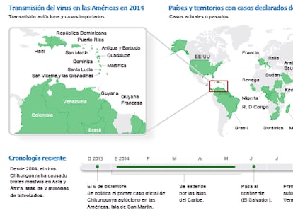 O mosquito que faz você se curvar