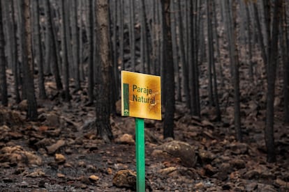 Incendios forestales España