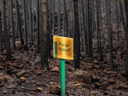 Incendios forestales España