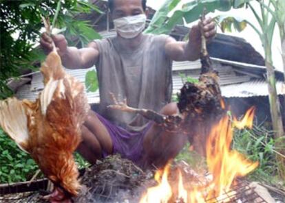 Un granjero indonesio quema pollos muertos sospechosos de haber padecido la enfermedad.