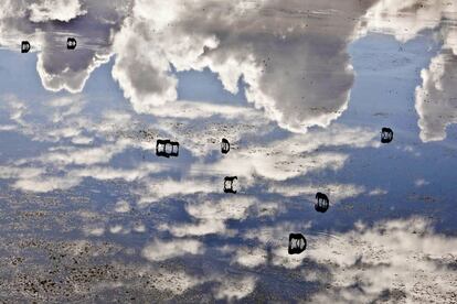 Un fractal es un patrón geométrico repetitivo que se puede encontrar en la naturaleza. Como las nubes, que cambian de forma y siempre tienen forma de nubes. O como las ramificaciones de un árbol, las venas y nervios del cuerpo o las formas abstractas de las marismas del Guadalquivir, donde se tomó la foto, cuando se miran a vista de pájaro. La imagen, titulada Caballos en cielo, forma parte de la exposición 'Fractales, las marismas y Doñana', que se inaugurará el 8 de febrero en la sede de la Fundación Biodiversidad en Sevilla. La muestra recoge una selección de 28 fotos aéreas -las mismas que aparecen en los créditos iniciales de 'La isla mínima', el thriller de Alberto Rodríguez ambientado en los arrozales del Guadalquivir- realizadas por Héctor Garrido, fotógrafo de naturaleza y responsable del banco de imágenes de la Estación Biológica de Doñana (CSIC), en sus vuelos en avioneta para censar las aves del parque nacional.