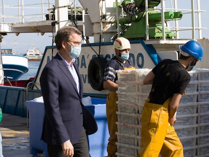 El presidente de la Xunta, Alberto Núñez Feijóo, visita la lonja de Ribeira, en A Coruña, el pasado 12 de mayo.