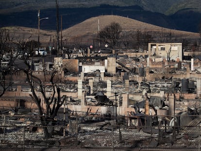 Burnt trees and the ruins of houses are what is left after the Lahaina fire burnt through the city, in Lahaina, Hawaii, on August 13, 2023.