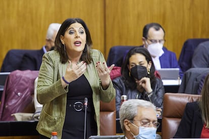 La portavoz del Grupo Parlamentario Socialista, Ángeles Férriz, en el Parlamento de Andalucía.