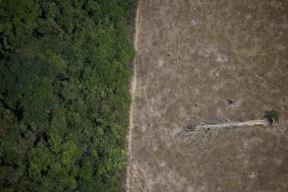 Imagen aérea de una zona talada en la Amazonia por madereros y granjeros, en 2020.