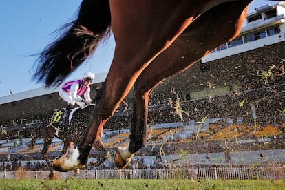 Un caballo y su jinete competían el sábado durante el Sydney Racing, en Sídney, Australia.