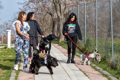 De izquierda a derecha, Lis y Lenny Luna Victoria y Yuny Peláez, durante uno de los paseos diarios con los perros por Madrid. 