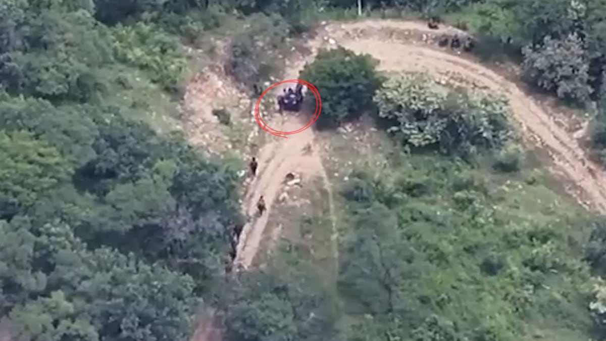 Drone Videos Show Capture of 7 Guerrero Farmers