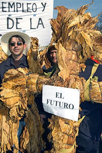 Dos agricultores se manifestaban ayer en Madrid contra la OCM del tabaco.