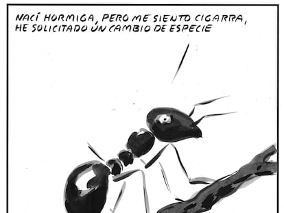 El Roto