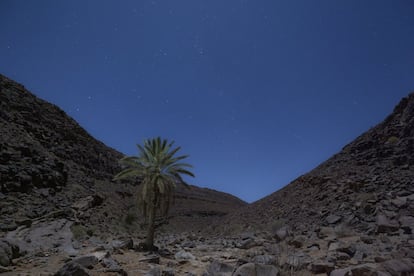 Un antiguo cauce, oued, a la luz de la luna.