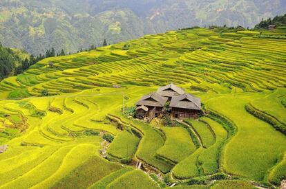 Vista panorámica de campos de arroz en el pueblo de Dangniu, en el condado de Congjiang (China).