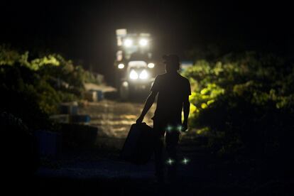 Más del 30% de la vendimia que se hace en el marco de Jerez se hace de forma nocturna.