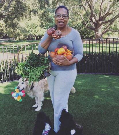 <strong>Qué 'snack'.</strong> Una cesta de tomates.
<strong>La opinión del especialista.</strong> A sus 62 años, la presentadora de televisión más famosa de Estados Unidos, Oprah Winfrey, sabe lo importante que es cuidar la alimentación. A la hora de elegir 'snack' se decanta por los tomates que recoge directamente del jardín de su casa. "Se trata de un alimento bajo en calorías que, además de ser rico en fibra y agua, contiene licopeno, sustancia que frena el envejecimiento prematuro, y carotenos, sustancia que prolonga el bronceado", señala la nutricionista Carla Sánchez.