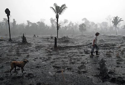 El Instituto Nacional de Investigaciones Espaciales (INPE) estima que en agosto de este año se quemaron 2,5 millones de hectáreas en la Amazonía. La quema intencionada de bosques para uso agrícola ha marcado un año desastroso para el gran pulmón de nuestro planeta. Este año Jair Bolsonaro, presidente de Brasil, dijo que las "quemas controladas" son una "tradición" en algunas partes del país. En la imagen, el agricultor Helio Lombardo Do Santos y su perro, en una zona de bosque quemado en Porto Velho, en el Estado de Rondonia, en Brasil, el 26 de agosto.