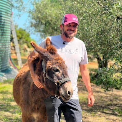 Héctor Carrió, productor de agricultura ecológica, con su burro 'Tossut', que da nombre a su explotación aceitera en Pedreguer (Alicante).