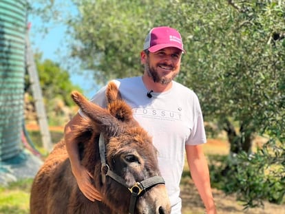 Héctor Carrió, productor de agricultura ecológica, con su burro 'Tossut', que da nombre a su explotación aceitera en Pedreguer (Alicante).