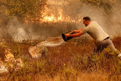  Un hombre arroja agua para sofocar las llamas del incendio en el municipio de Odemira, Portugal, este lunes.