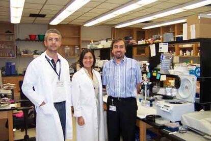 Claudio Soto, Paula Saa y Joaquín Castilla, de izquierda a derecha, en su laboratorio.