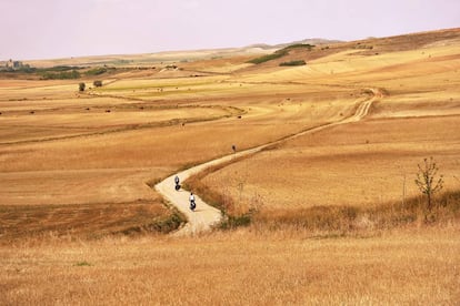 Ciclistas atravessam a planície de Burgos, no chamado Caminho Francês.