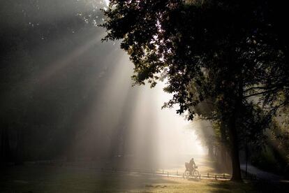 Los rayos de sol atraviesan la niebla de la mañana en el parque Tiergarten en Berlín (Alemania), el 10 de octubre de 2018.