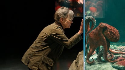 Protagonista de la película Criaturas luminosas