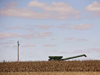 Una cosechadora recorre un campo de maíz en Malden (Illinois).