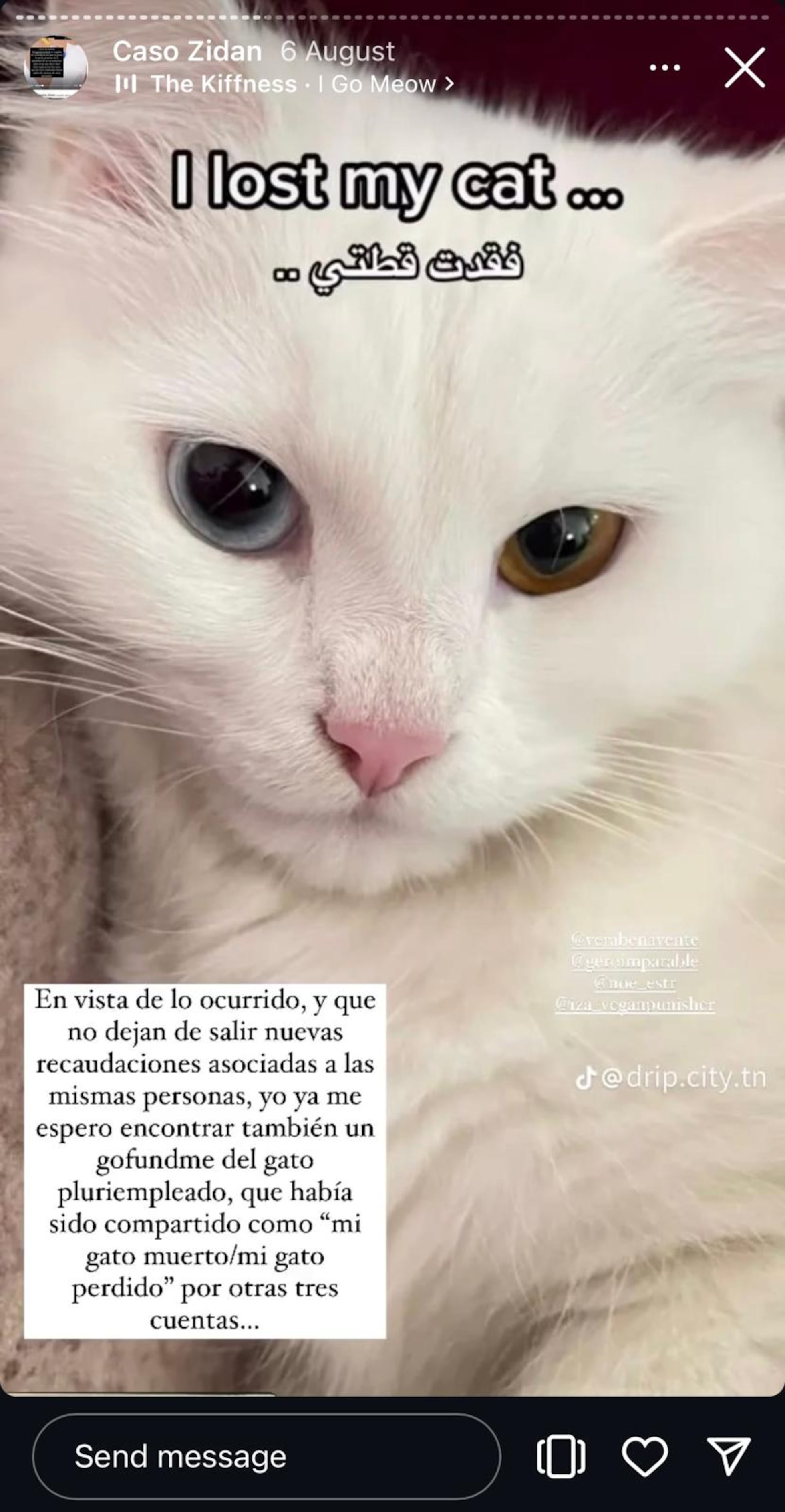 Alegatos Adopciones (@alegatosadopciones) • Instagram photos and videos, image size:1960x3774