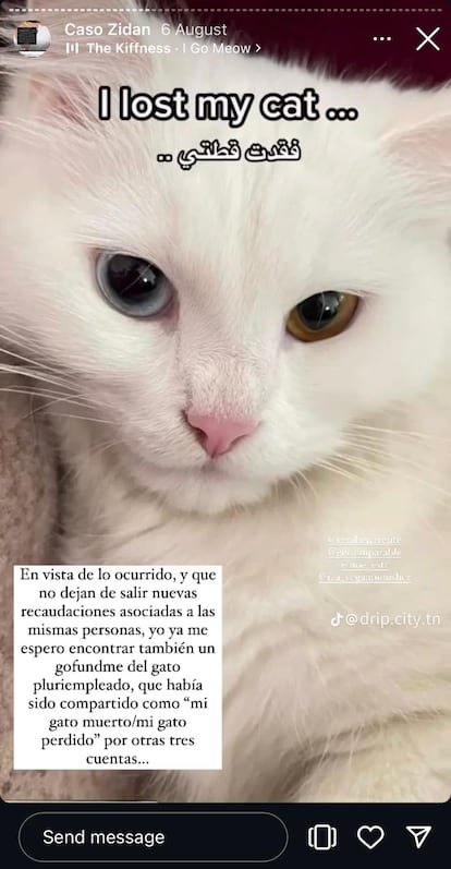 Foto del gato muerto que en realidad estaba sacado de internet.