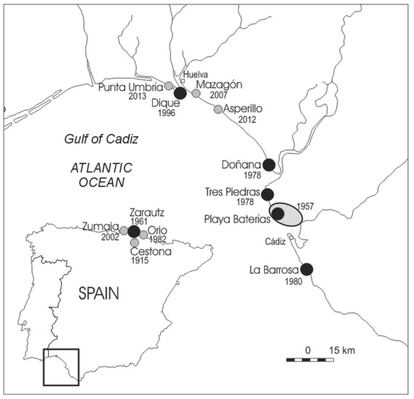 Localizaciones de la 'Oenothera drummondii' en España. Las fechas hacen referencia al primer registro en esa ubicación. El área de la primera introducción de la especie en el golfo de Cádiz aparece marcada con un óvalo gris. Los círculos grises identifican las poblaciones registradas, mientras que los círculos negros indican las poblaciones de las que se recogieron muestras, frutos o restos fecales con semillas.