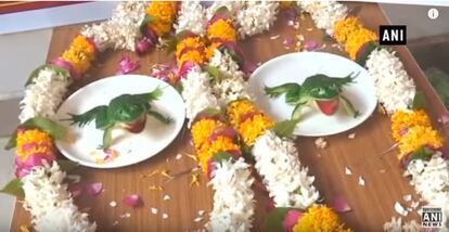 Dos ranas de plástico en 'su boda' en Varanasi, India.