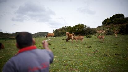 Pedro Berrade, uno de los cinco ganaderos que comenzó a utilizar el cercado virtual en Navarra.