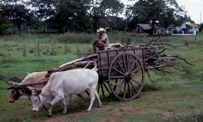 Un hombre conduce una carreta en Paraguay.