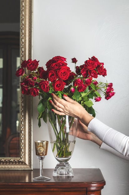 Female hand with bouquet of red roses.