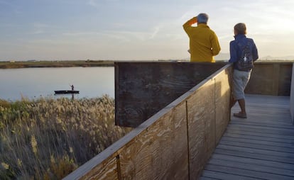 Vistas desde el mirador de la laguna de les Olles, en el Delta del Ebro (Tarragona).